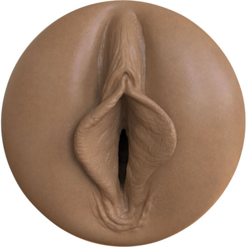 FLESHLIGHT BOOST - MASTURBATEUR DE CHAISE VAGINA BANG MD RP 